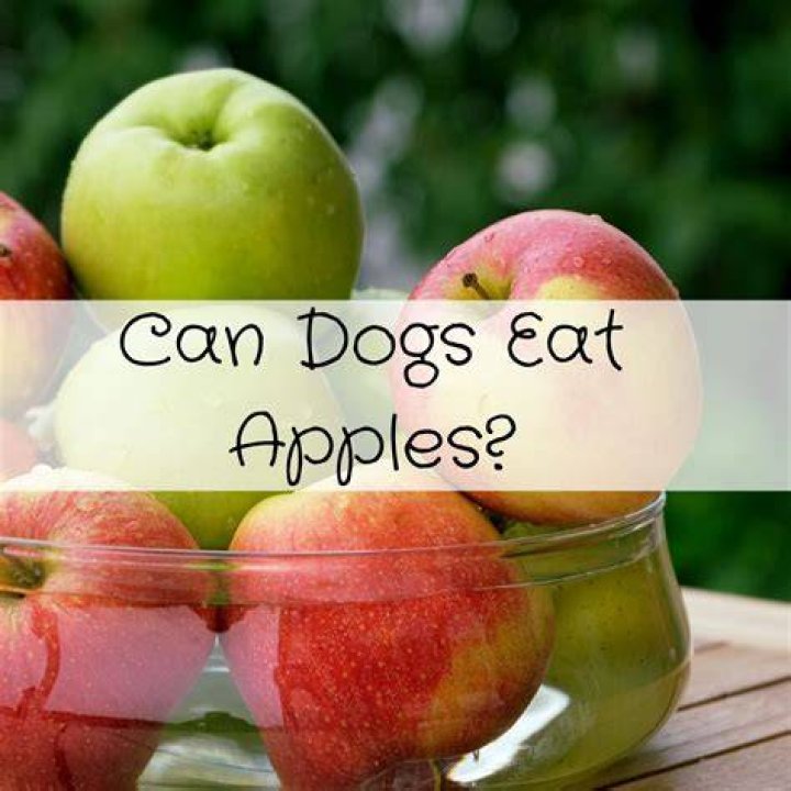 Can you eat Osage apples?