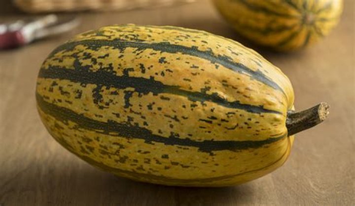 Can you eat rotten spaghetti squash?