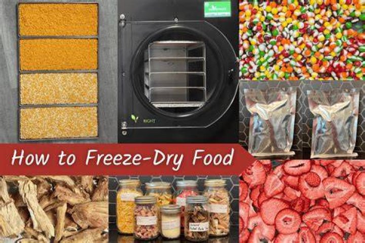 Can you freeze snap kitchen?