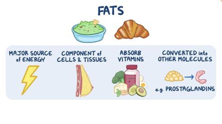 Can you get fat from eating popsicles?