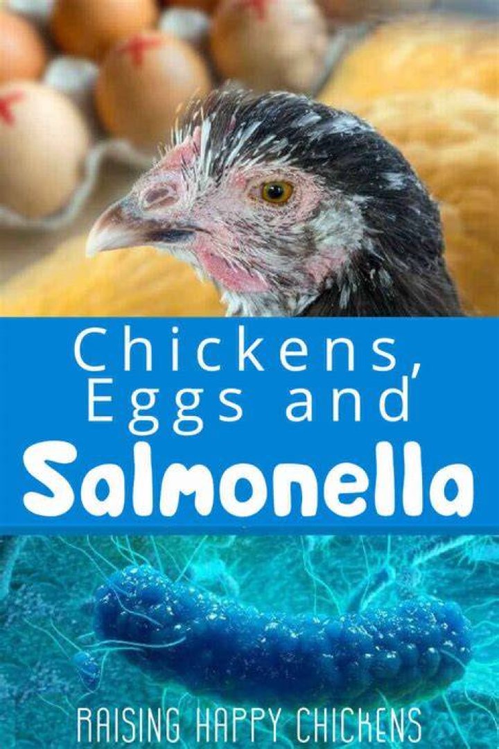 Can you get salmonella from crab?