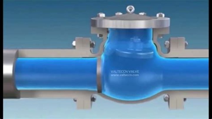Can you put a check valve in the vertical?