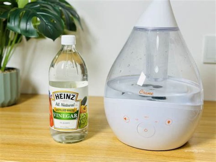 Can you put disinfectant in a humidifier?