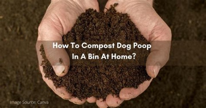 Can you put dog poo in the brown bin?
