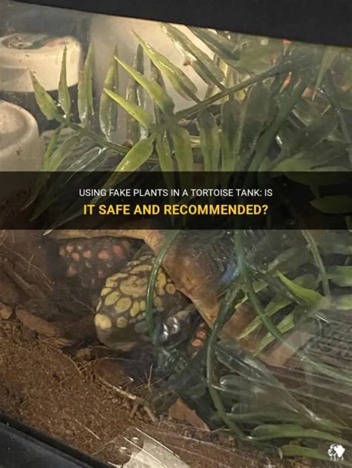 Can you put fake plants in a tortoise tank?