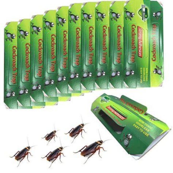 Can you sue for having cockroach in food?