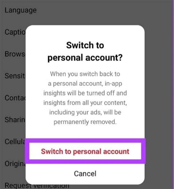 Can you switch back from a professional account on Instagram?