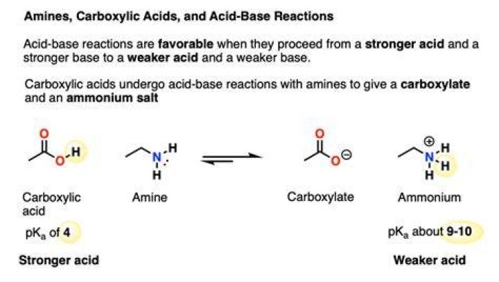 Can you take HMB with amino acids?