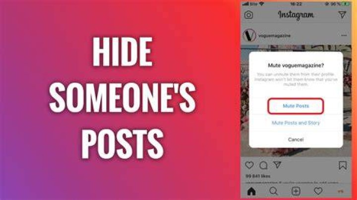 Can you temporarily hide someone on Instagram?
