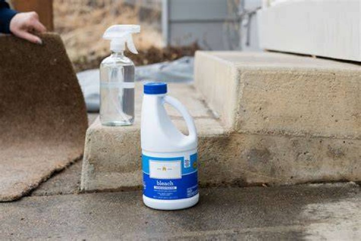 Can you use bleach and water to clean concrete?