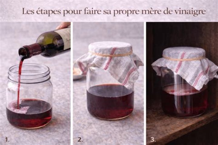 Comment entretenir une mère de vinaigre ?
