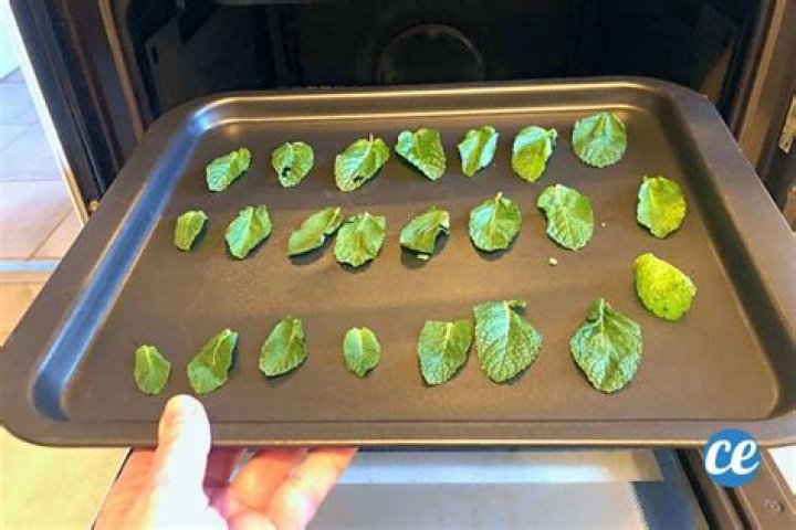 Comment faire sécher des feuilles de menthe au four ?