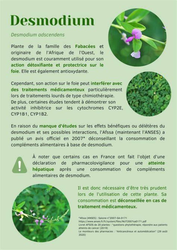Comment s’appelle le desmodium en arabe ?