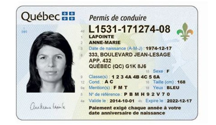Comment vérifier si un nom de domaine existe déjà ?