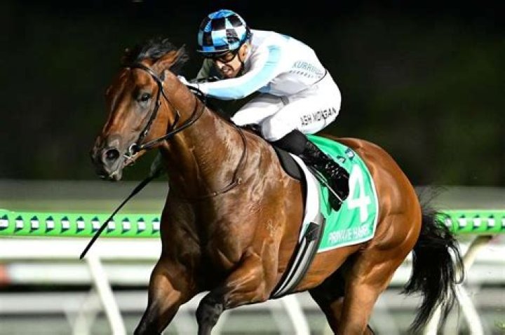 Could Harry Morgan ride a horse?