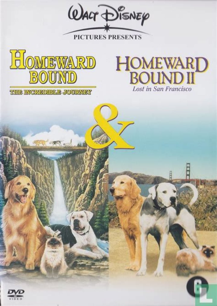 Did any animals die in the making of Homeward Bound?