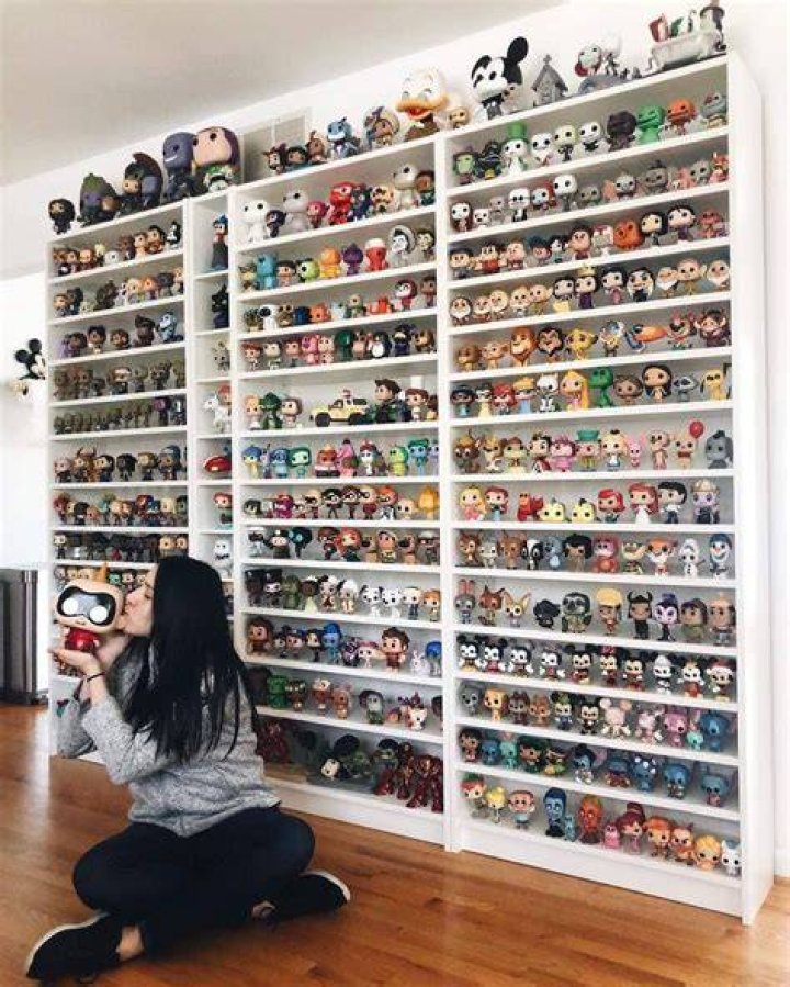 Disney World: a collection of Funko Pop! in the image of the amusement park