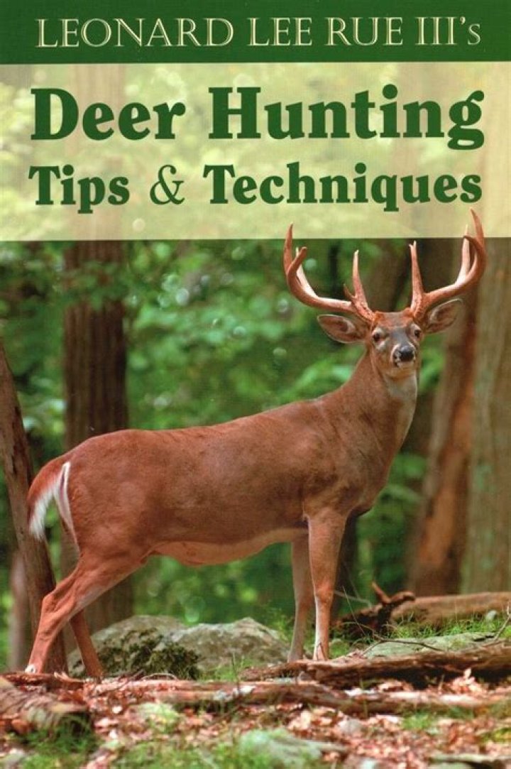 Do antlers indicate age?