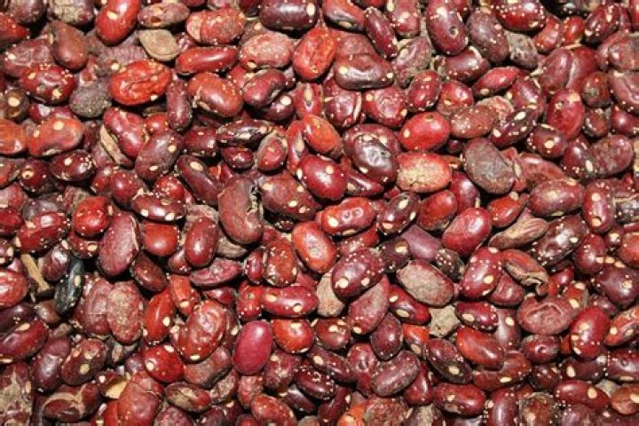 Do bagged dry beans go bad?