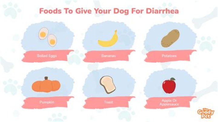 Do bananas give dogs diarrhea?