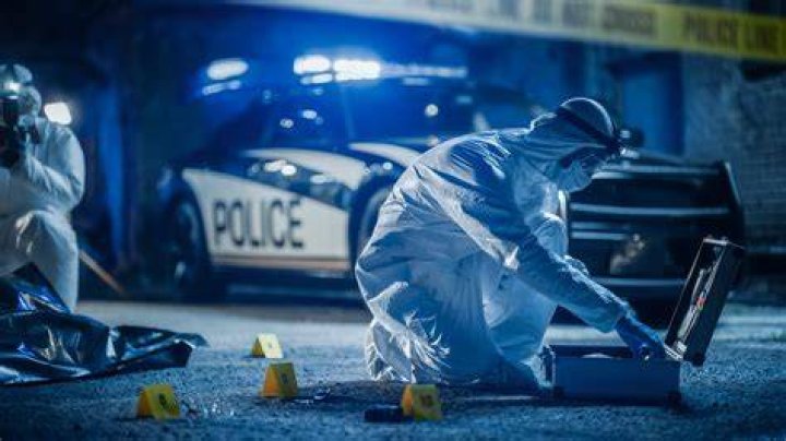 Do Forensic anthropologists go to the crime scene?