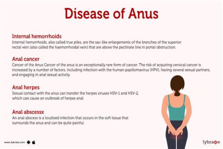 Do humans start as anuses?