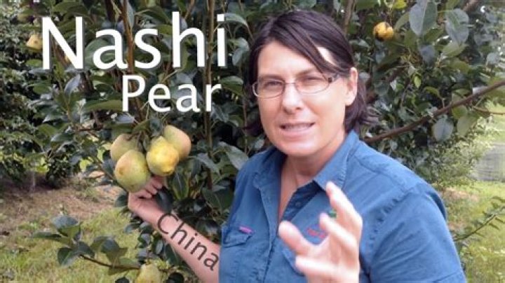 Do Nashi pears need a pollinator?