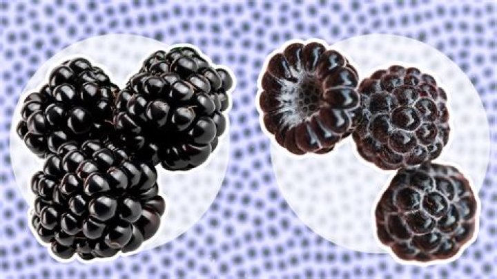 Do raspberries have black seeds?