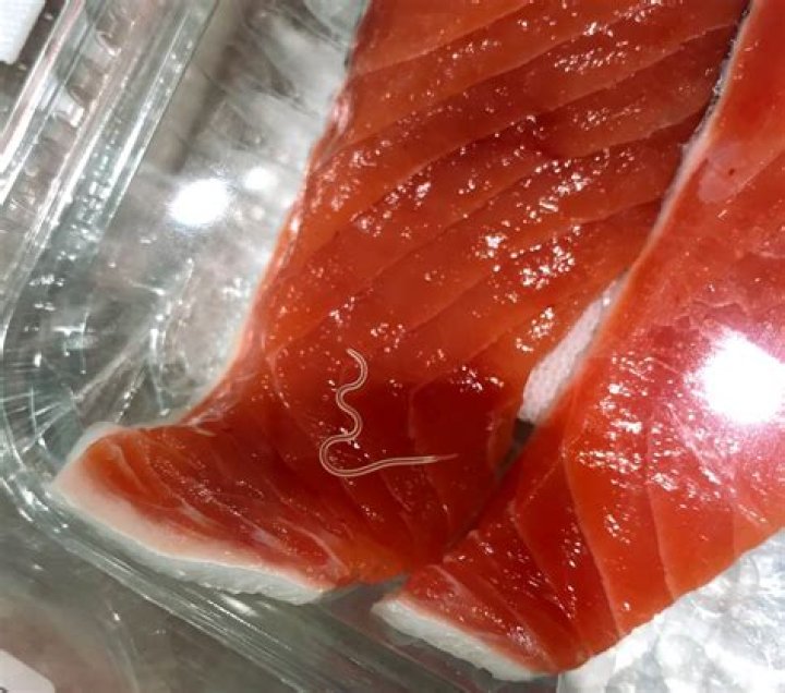 Do red fish have worms?