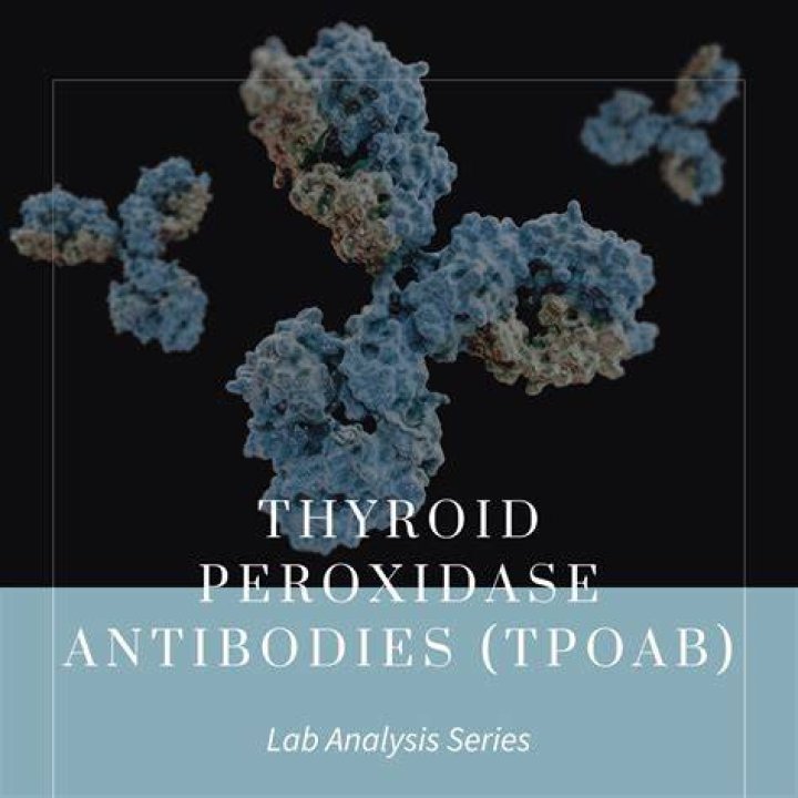 Do TPO antibodies ever go away?