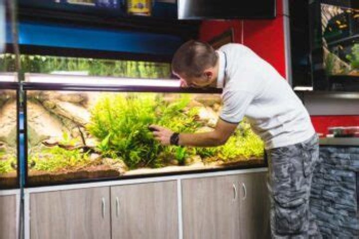 Does a 55 gallon fish tank weigh?