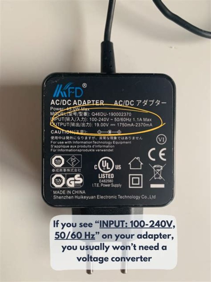 Does a dual voltage flat iron need a converter?