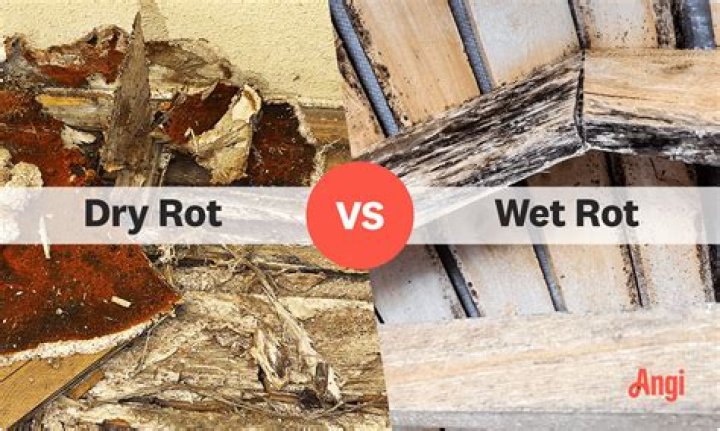 Does acacia wood rot?