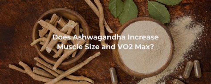 Does ashwagandha increase size?