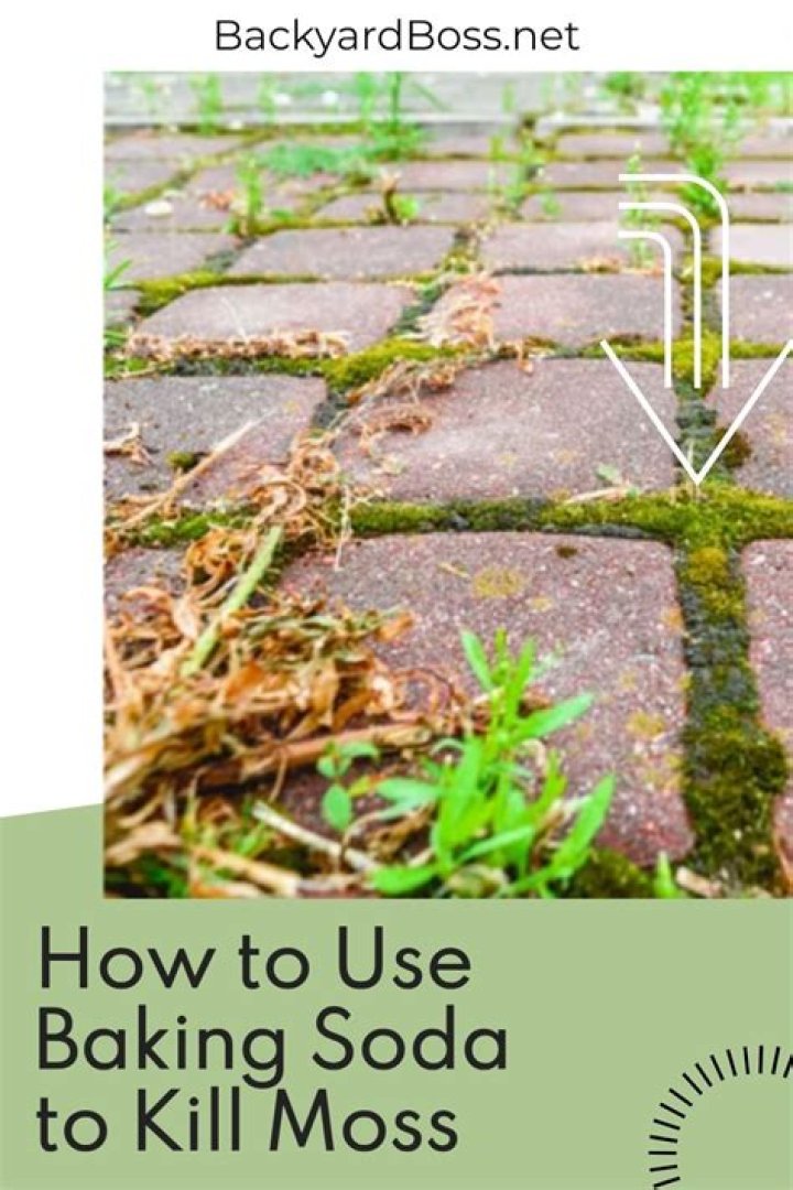 Does baking soda kill Spanish moss?