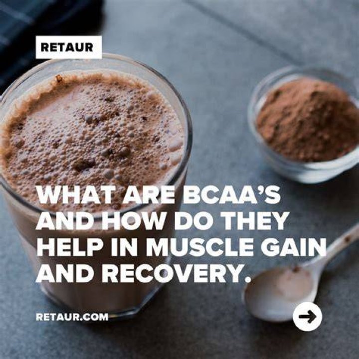Does BCAA help lose belly fat?