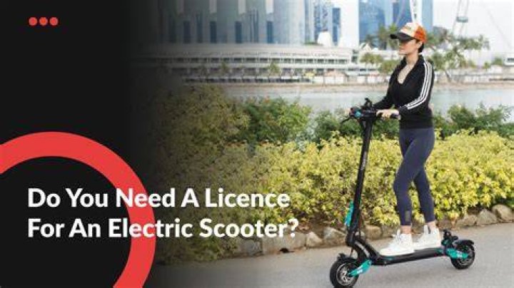 Does bird scooter require license?