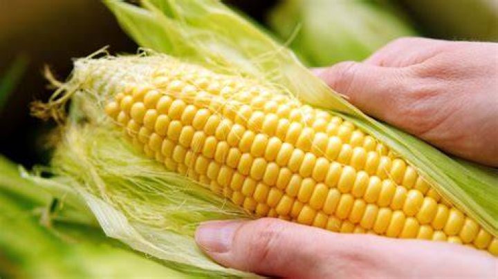 Does Bojangles have corn on the cob?