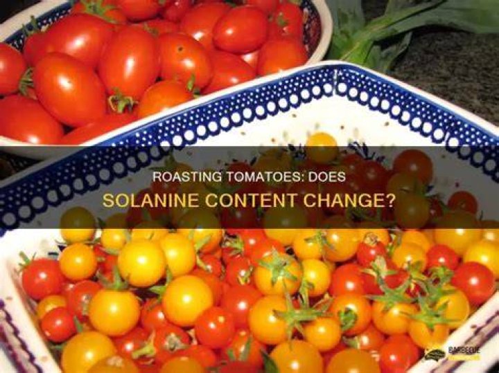 Does cooking tomatoes reduce solanine?