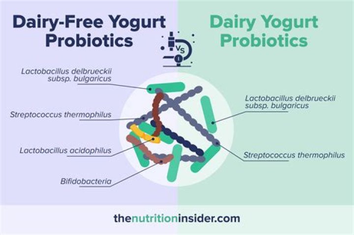 Does Dannon yogurt have probiotics?