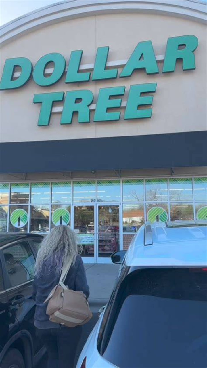 Does Dollar Tree have After Christmas Sale?