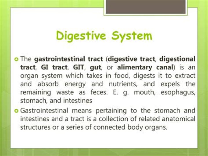 Does Gastrosis means pertaining to the stomach?