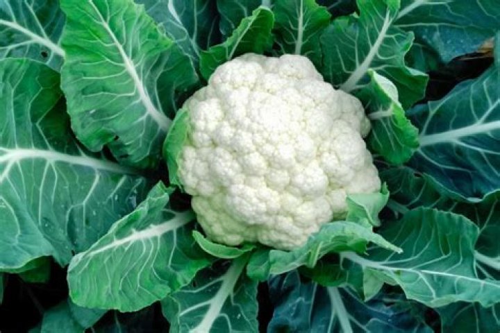 Does Gino’s have cauliflower crust?