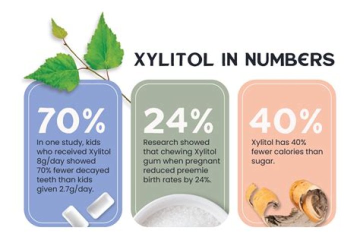 Does Juicy Fruit have xylitol?