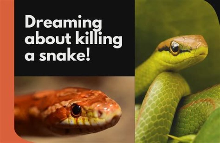 Does killing a snake attract other snakes?