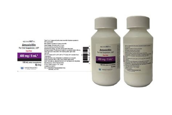 Does Meijer give free amoxicillin?