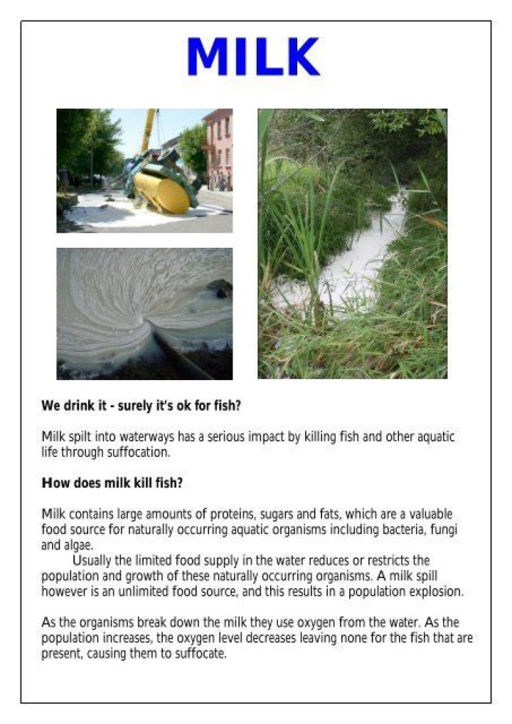 Does milk kill fish?