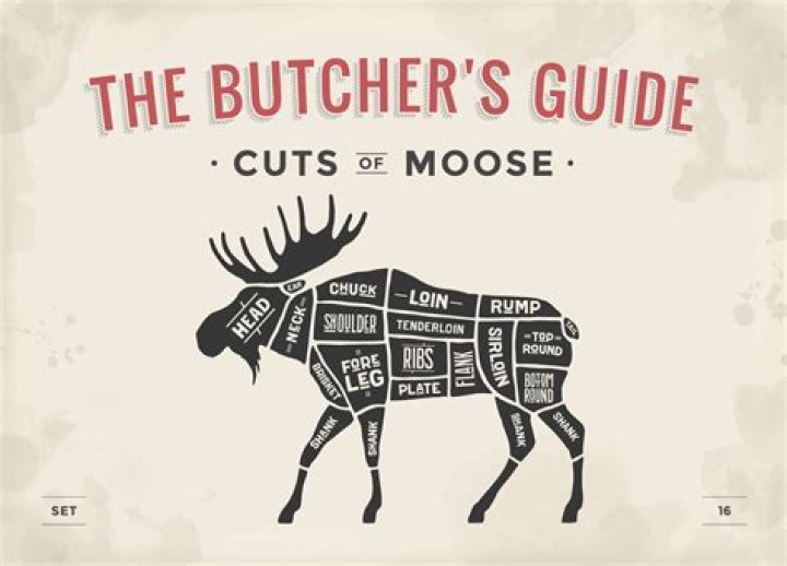 Does moose meat taste good?