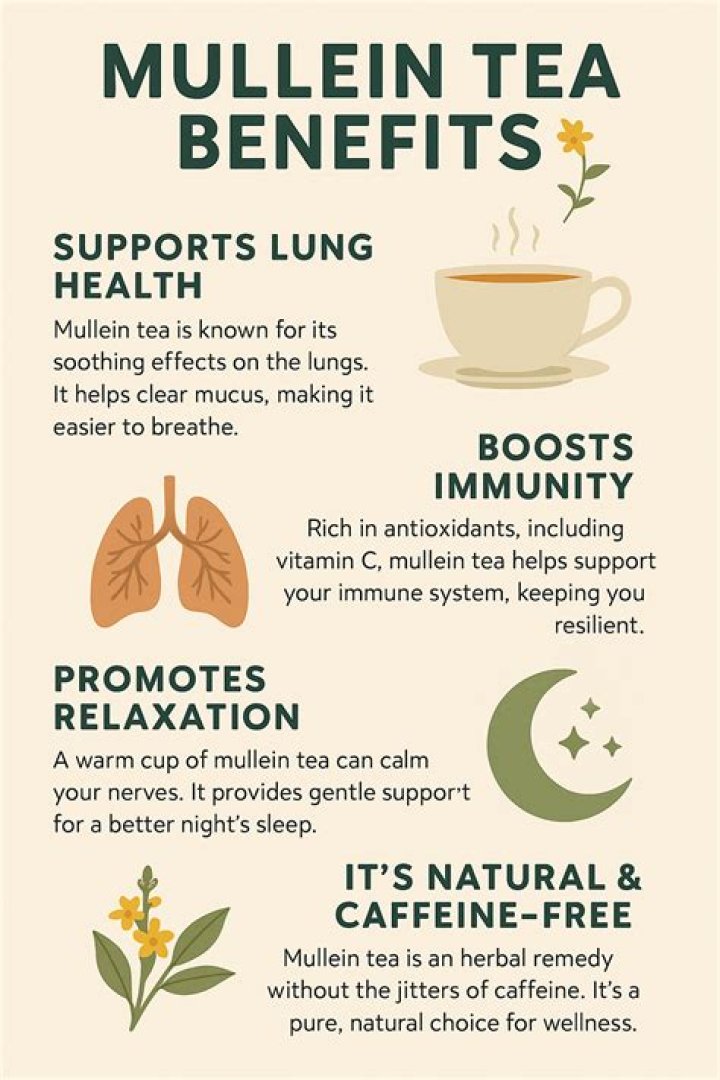 Does mullein tea help lungs?