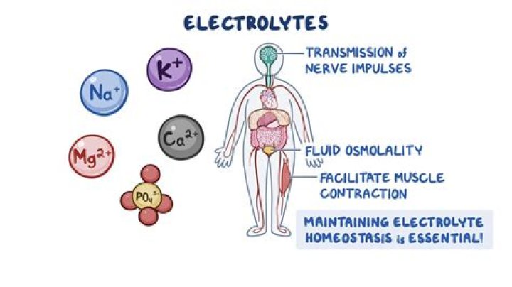 Does pho broth have electrolytes?